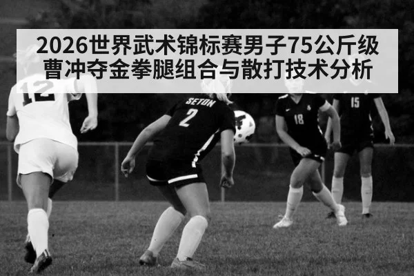 2026世界武术锦标赛男子75公斤级曹冲夺金拳腿组合与散打技术分析
